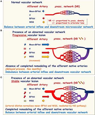 Blood Flow and Shear Stress Allow Monitoring of Progression and Prognosis of Tumor Diseases